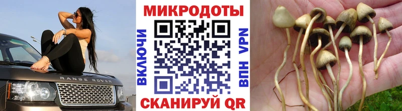 Псилоцибиновые грибы GOLDEN TEACHER  Купить где  Тавда 